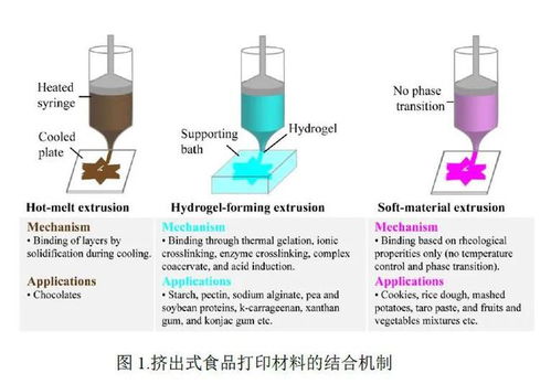 李斌教授團隊 開拓植物性材料在3D食品打印技術中的創新應用
